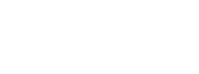 Tempus Portal
